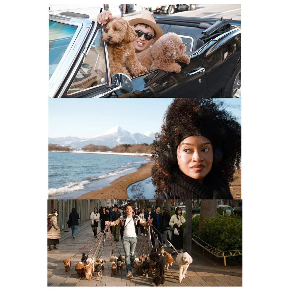 Canon M50 mirrorless flip screen | 24.1 megapixel digital camera