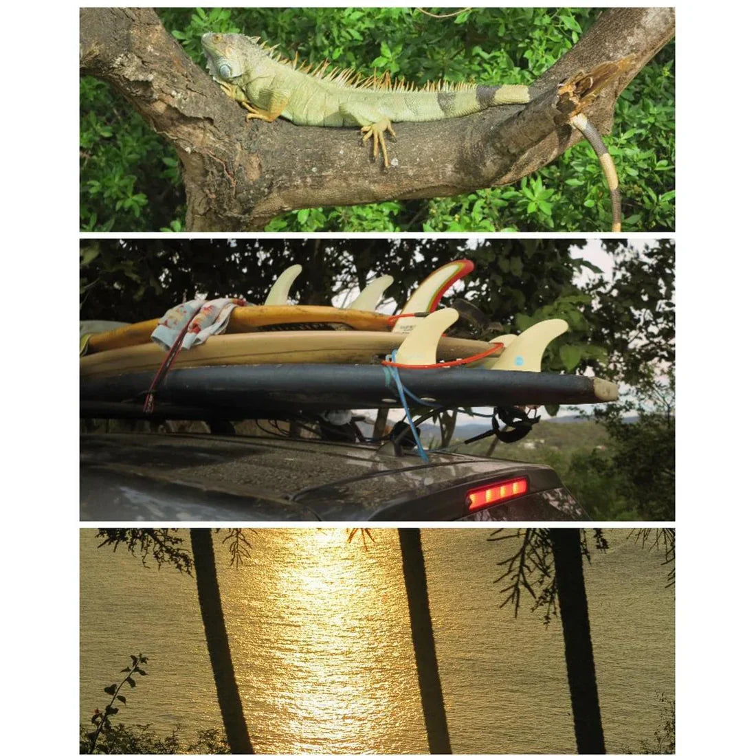 Canon G1X | 14 megapixel digital camera 📷