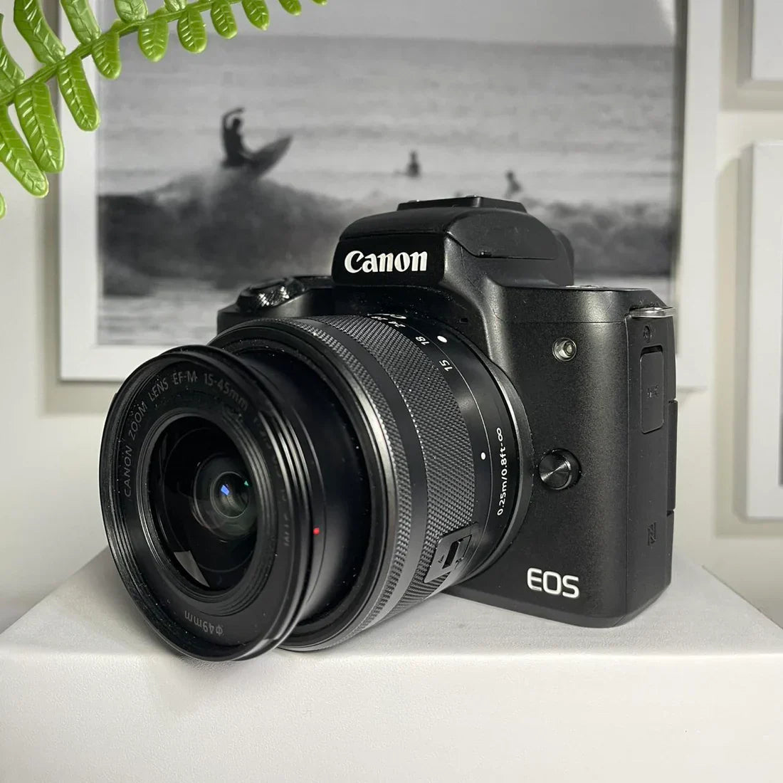 Canon M50 mirrorless flip screen | 24.1 megapixel digital camera