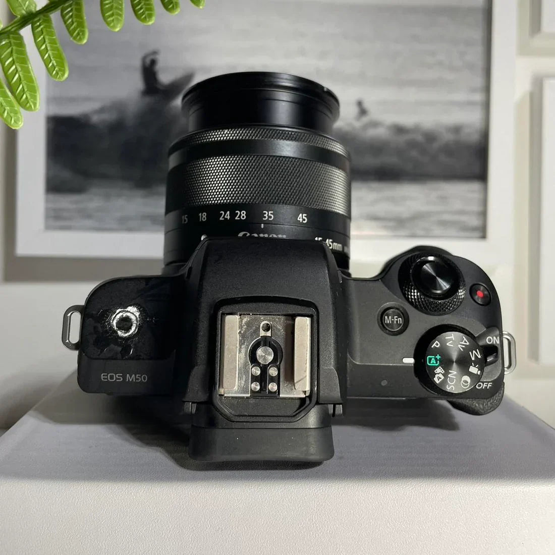 Canon M50 mirrorless flip screen | 24.1 megapixel digital camera